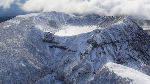 제주 겨울 여행 명소 추천, 설경·동백·숲길 총정리