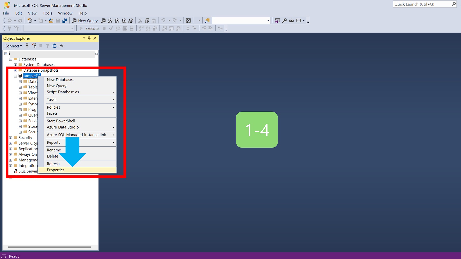 새로운 database 만들어진 파일 위치를 확인.