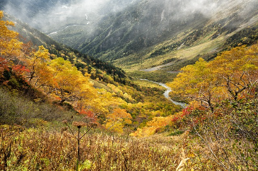 산속 계곡 옆 민박집에서 1박 2일 혼행기