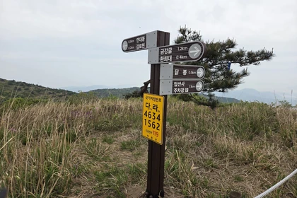 능선을 따라 이어진 억새 군락지2