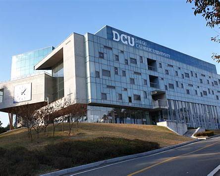 경상북도 대학 총정리｜4년제&middot;전문대&middot;특수대학 한눈에 보기