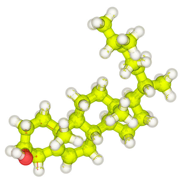 당화혈색소 낮추는 방법