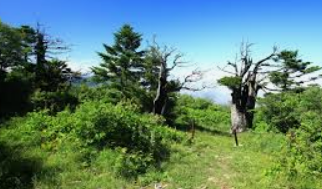 태백산 국립공원 홈페이지