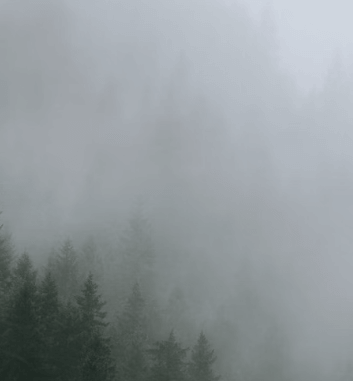 피부 탄력 관리 방법 - 미스트