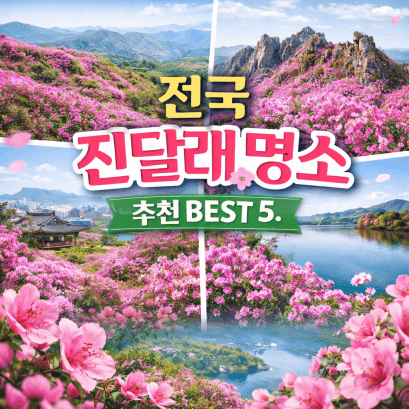 전국 진달래 명소 BEST 5, 영취산·비슬산·천주산·북한산·대둔산 개화시기·코스