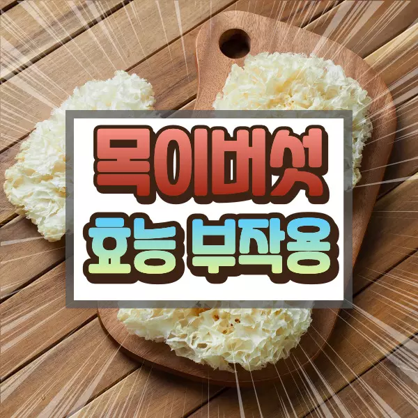 목이버섯 효능 부작용