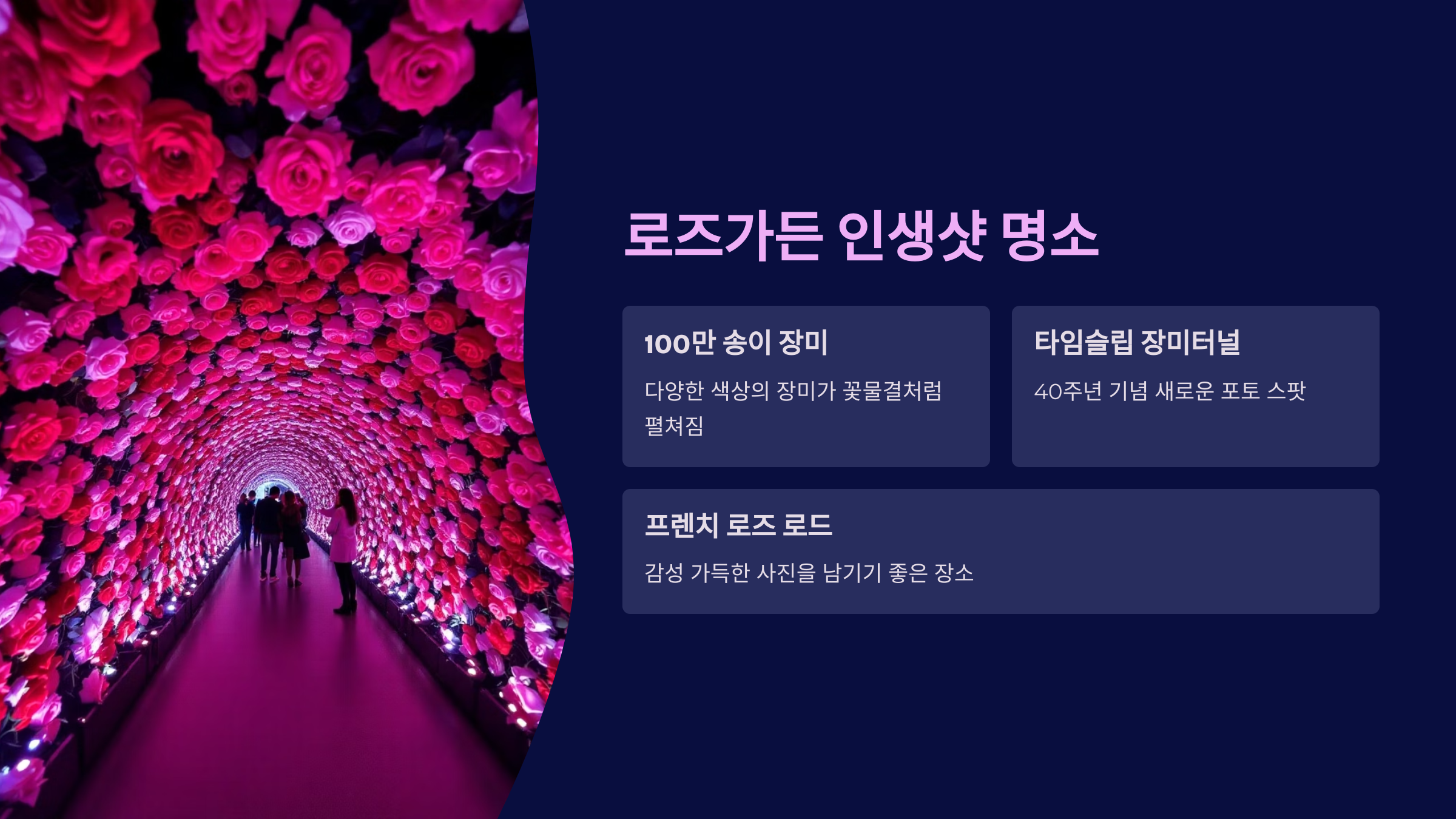 🌹에버랜드 장미축제 40주년 2025년 5월 16일부터 한 달간 펼쳐지는 꽃의 향연, 예매방법!🌹