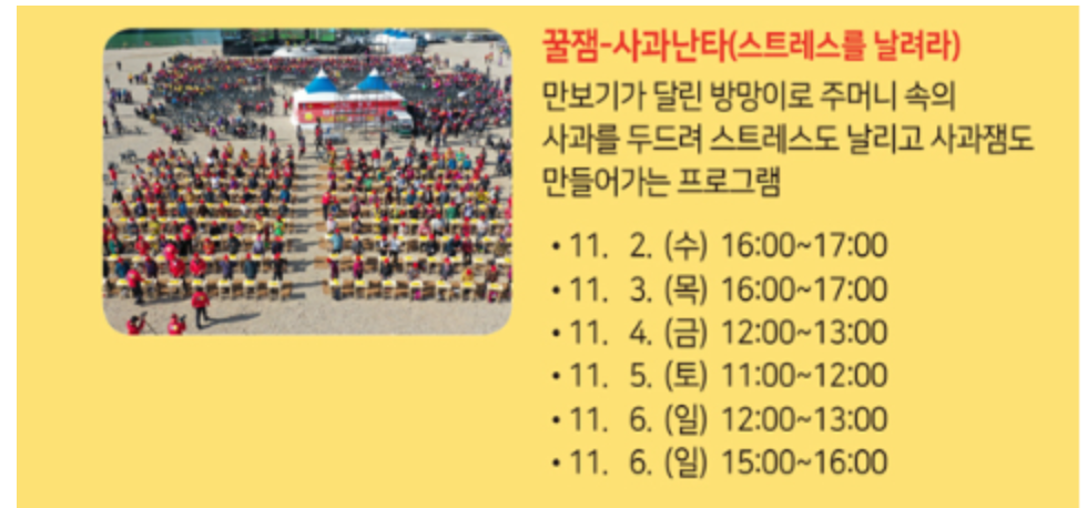청송-사과축제