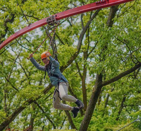 남이섬 엑티비티 
