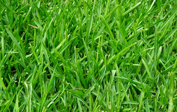 맨발 걷기 좋은 곳