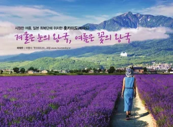 홋카이도 여름 여행코스 4박5일 일정과 맛집 정보 정리_3