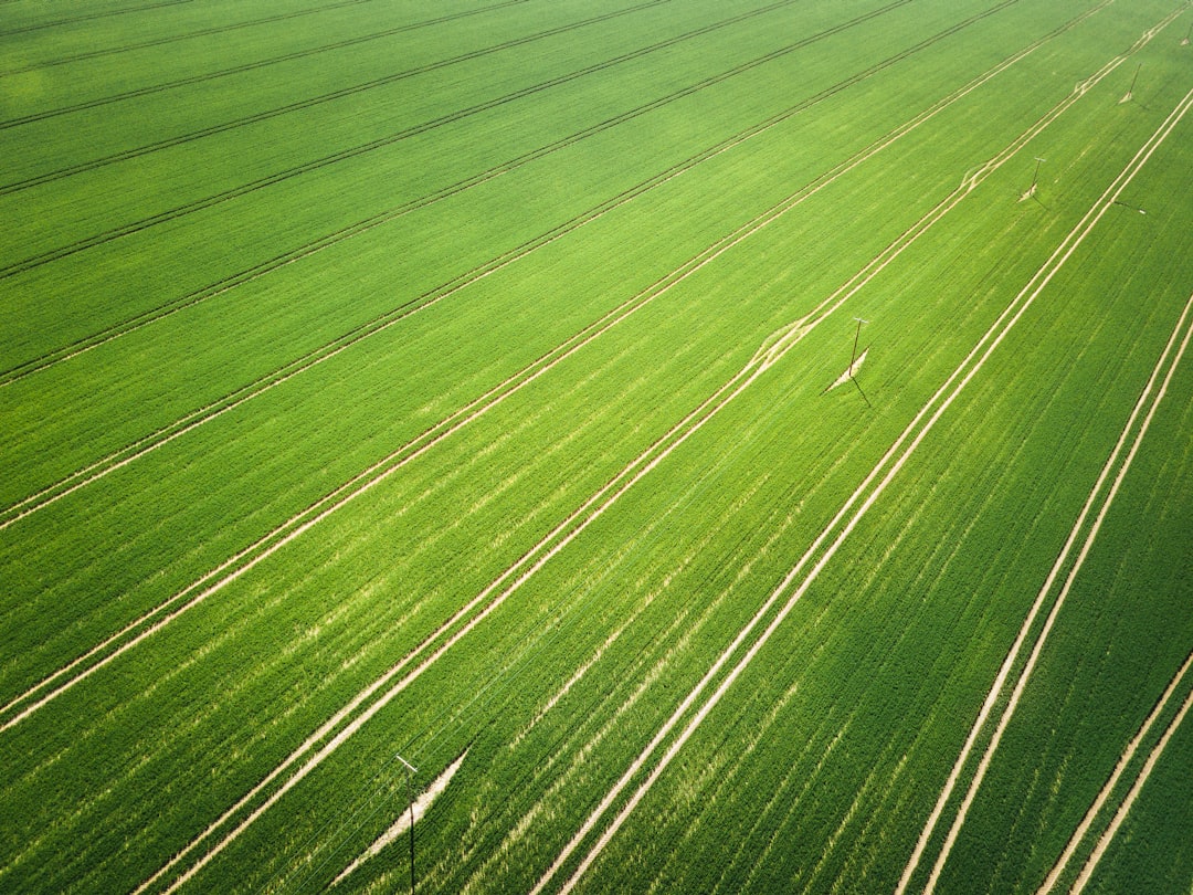 Farmland