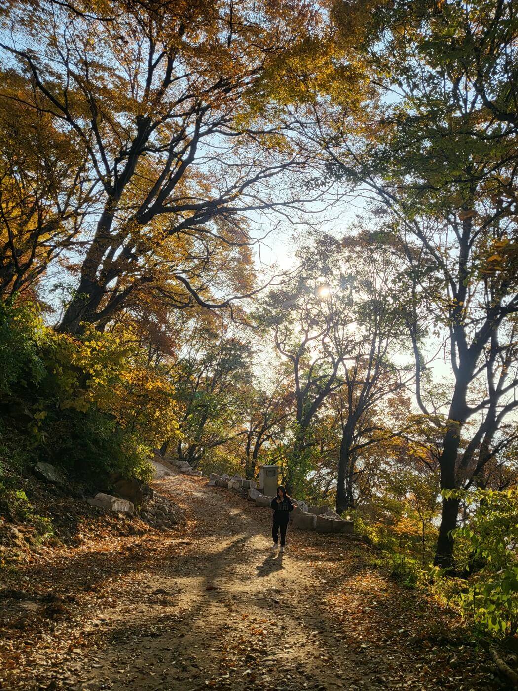수종사