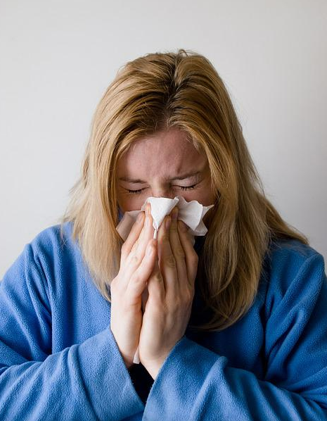 인플루엔자 원인