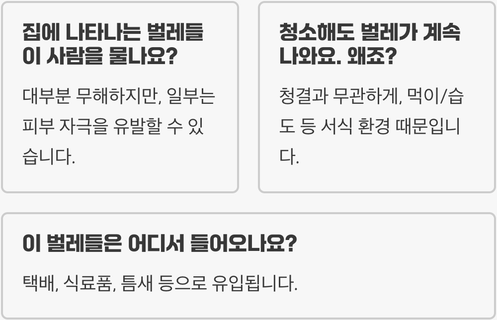 집벌레 완벽 가이드 – 원인, 피해, 퇴치, 예방까지 한눈에