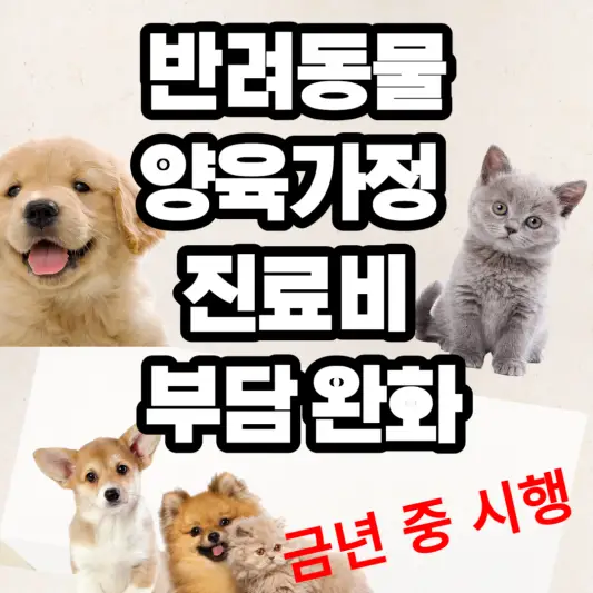 반려동물-양육가정-진료비-부담-완화-썸네일