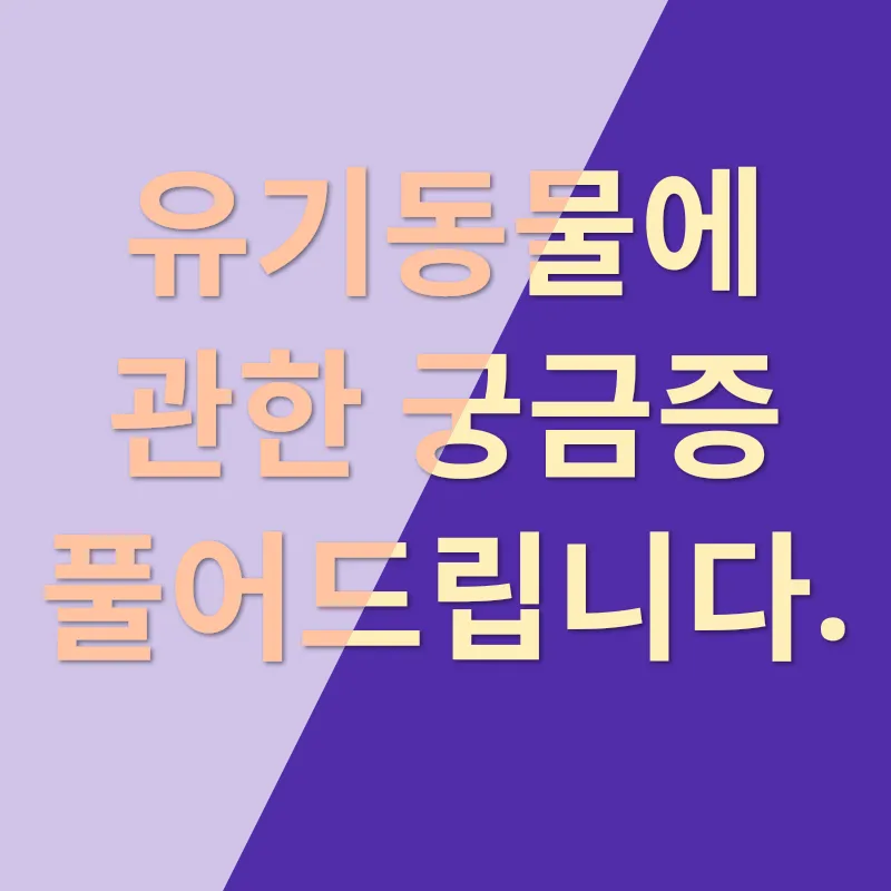 유기동물 보호_4
