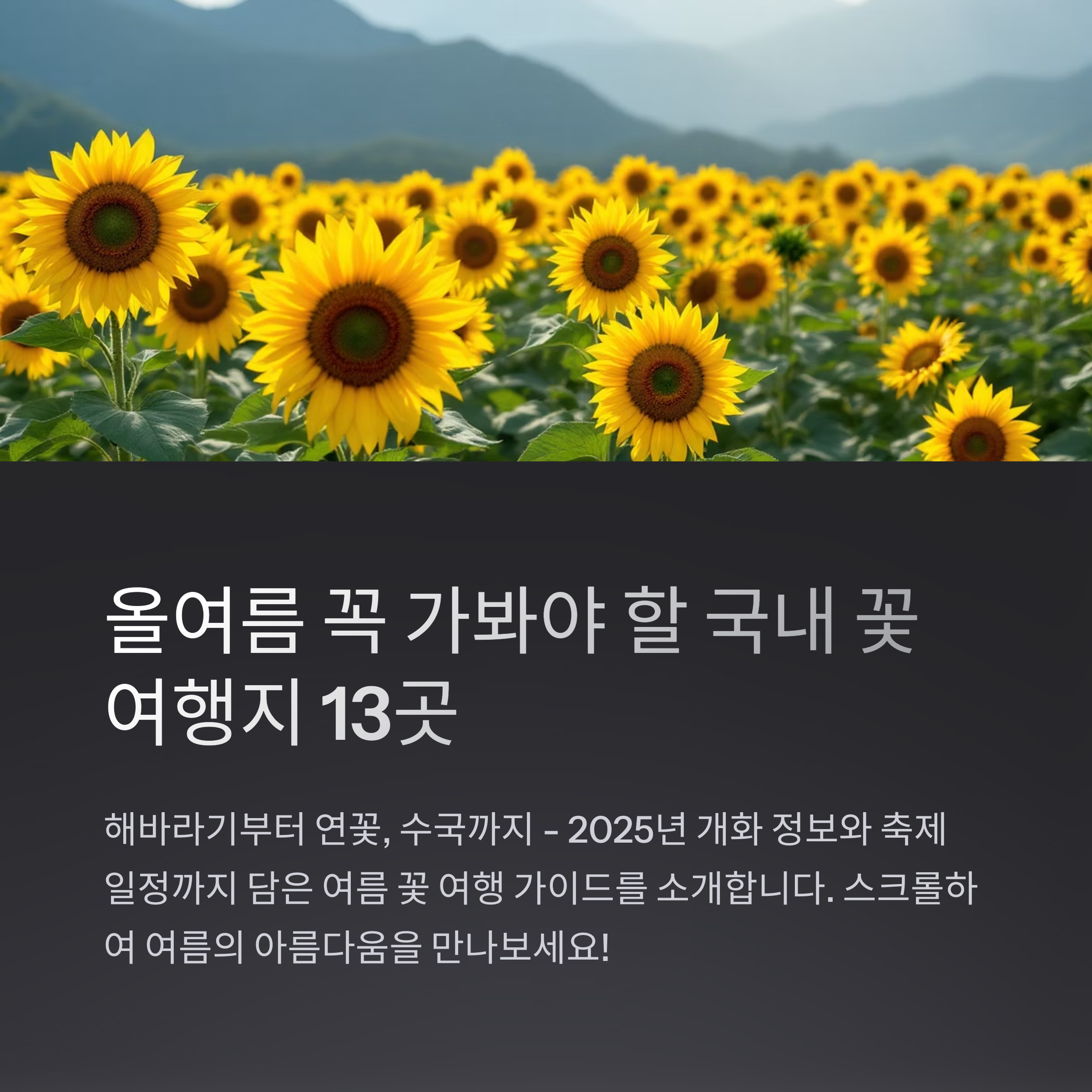 해바라기 명소부터 연꽃까지, 국내 여름 여행지 추천