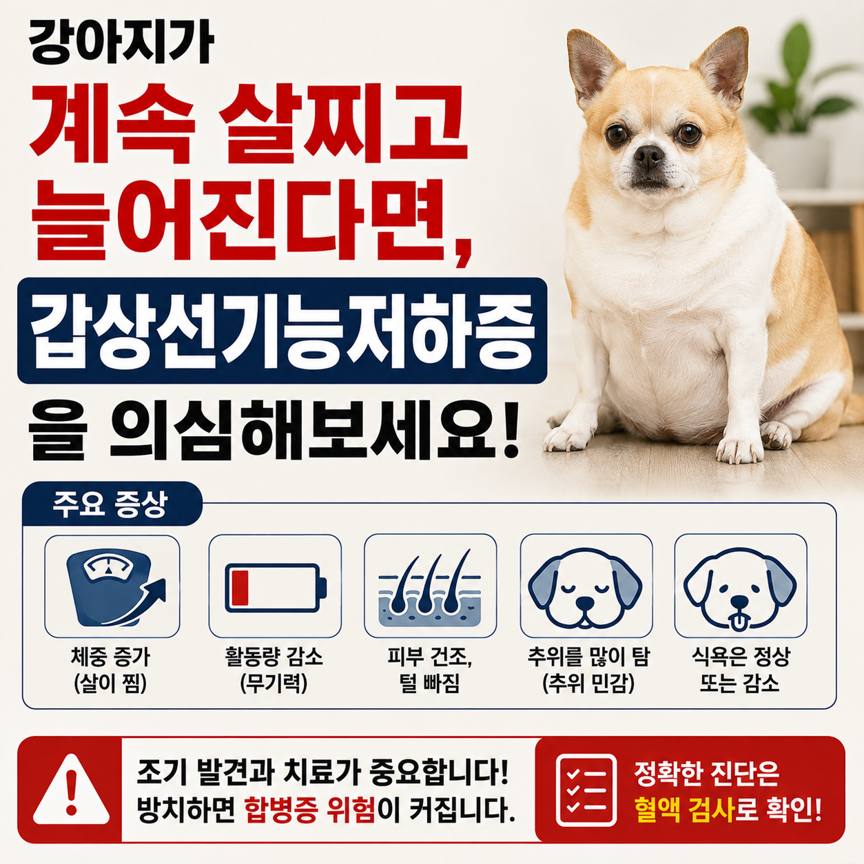 갑상선기능저하증