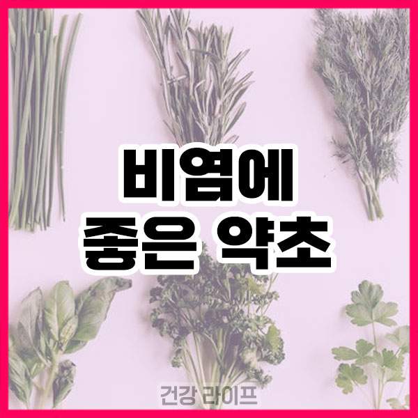 비염에 좋은 약초