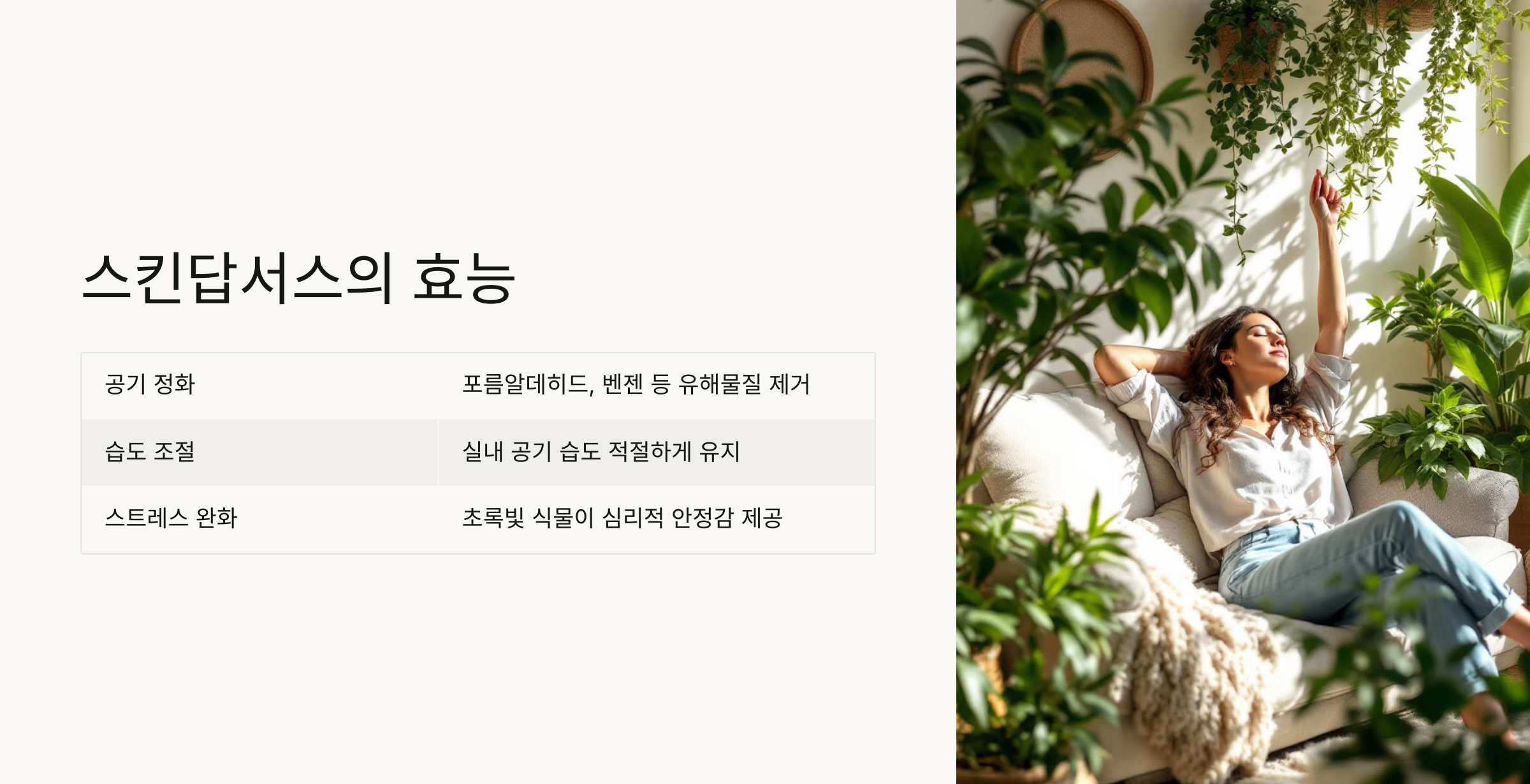 스킨답서스 사진