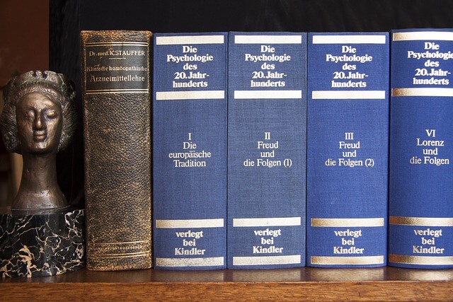 프로이트의 생애, 주요 개념_프로이트의 정신역동이론