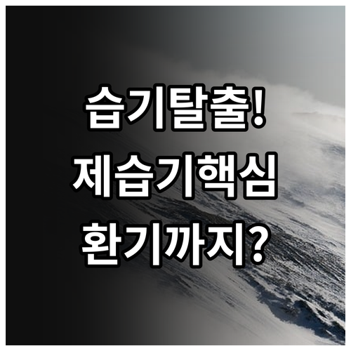 제습기 활용부터 환기까지 장마철 습기..