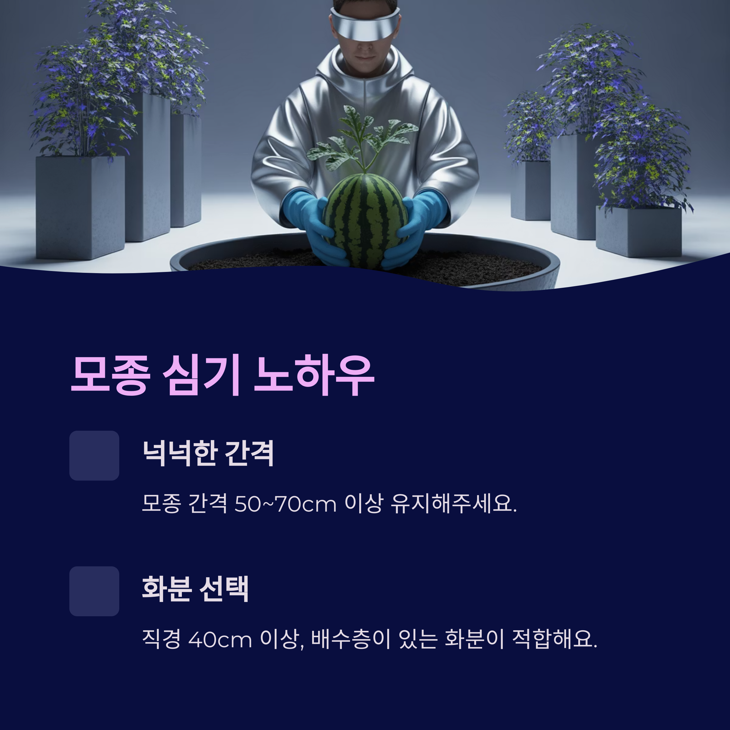 모종 심는 방법 &ndash; 뿌리 상하지 않게 넉넉한 간격으로