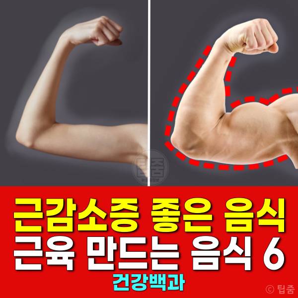 근감소증 좋은 음식 근육 만드는 음식