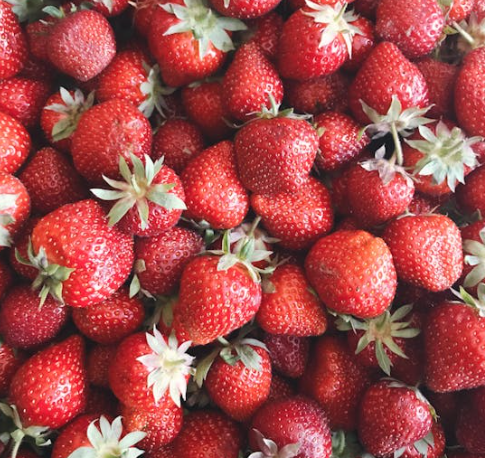 뇌에 좋은 음식 10