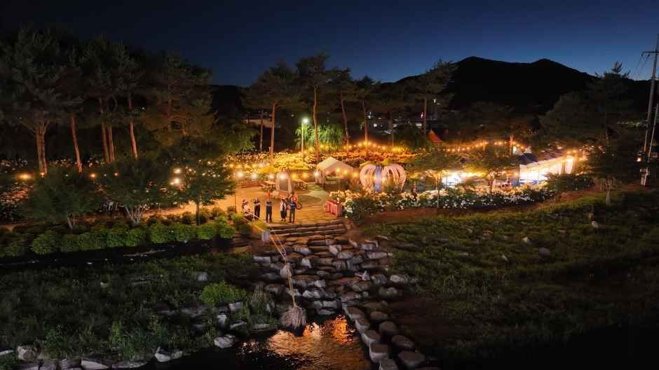 공주 유구 색동수국정원 꽃축제