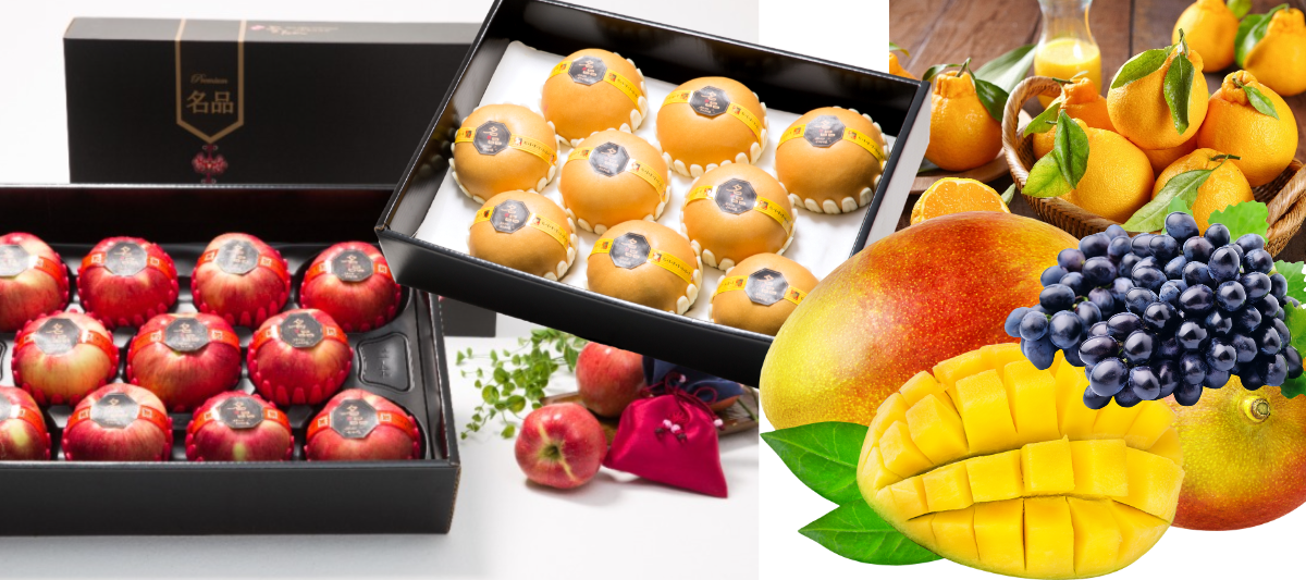 설날 선물세트 추천 과일 사과 배 한라봉 망고