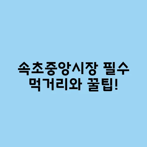 속초중앙시장 필수 먹거리와 꿀팁!
