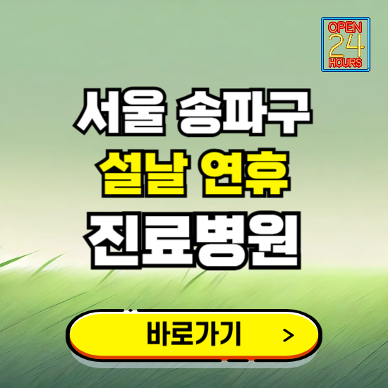 서울 송파구 설날 연휴 진료병원 찾기 ❘ 24시 응급 야간 심야 문여는 병원