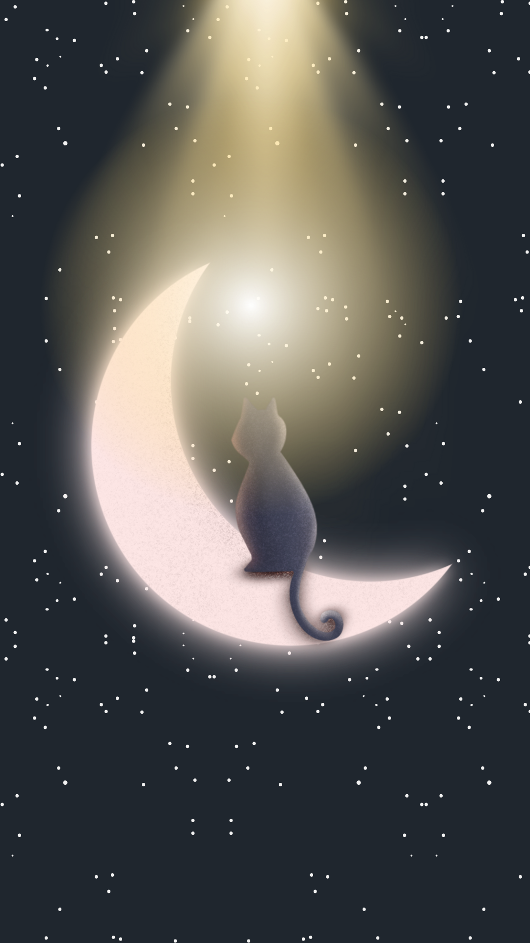 고양이 사진 그림 스마트폰 배경화면 이미지