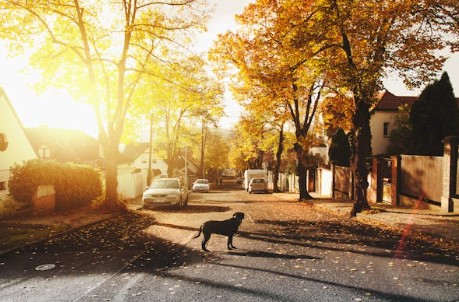 집 볼 때 체크리스트