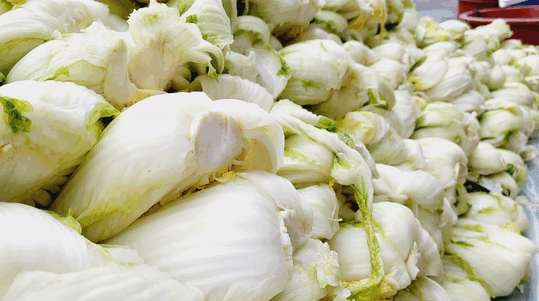 절임배추 추천 Best 3