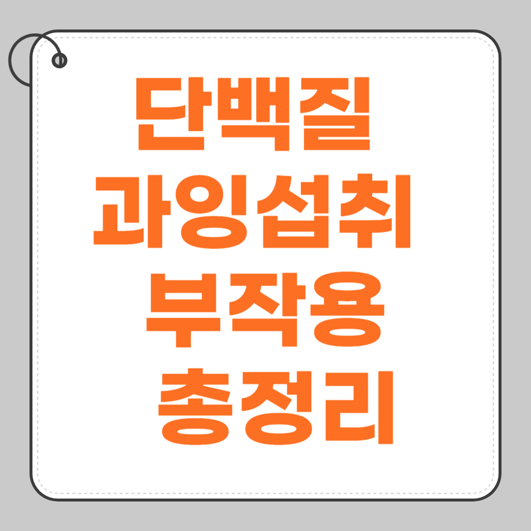 단백질-과잉-섭취-부작용-총정리