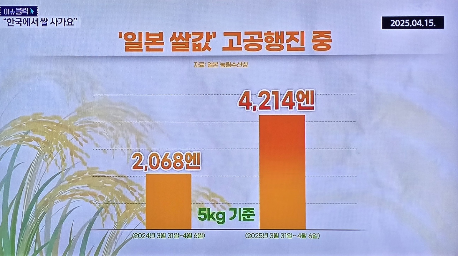 일본 쌀값의 폭등 이미지 사진