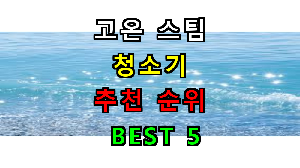 2025 고온 스팀청소기 추천 TOP 5