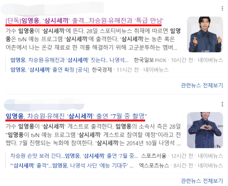 삼시세끼 임영웅 기사 헤드라인