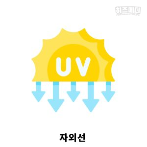 백내장 증상 원인