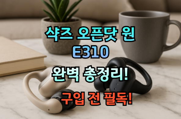 샥즈 오픈닷 원 E310