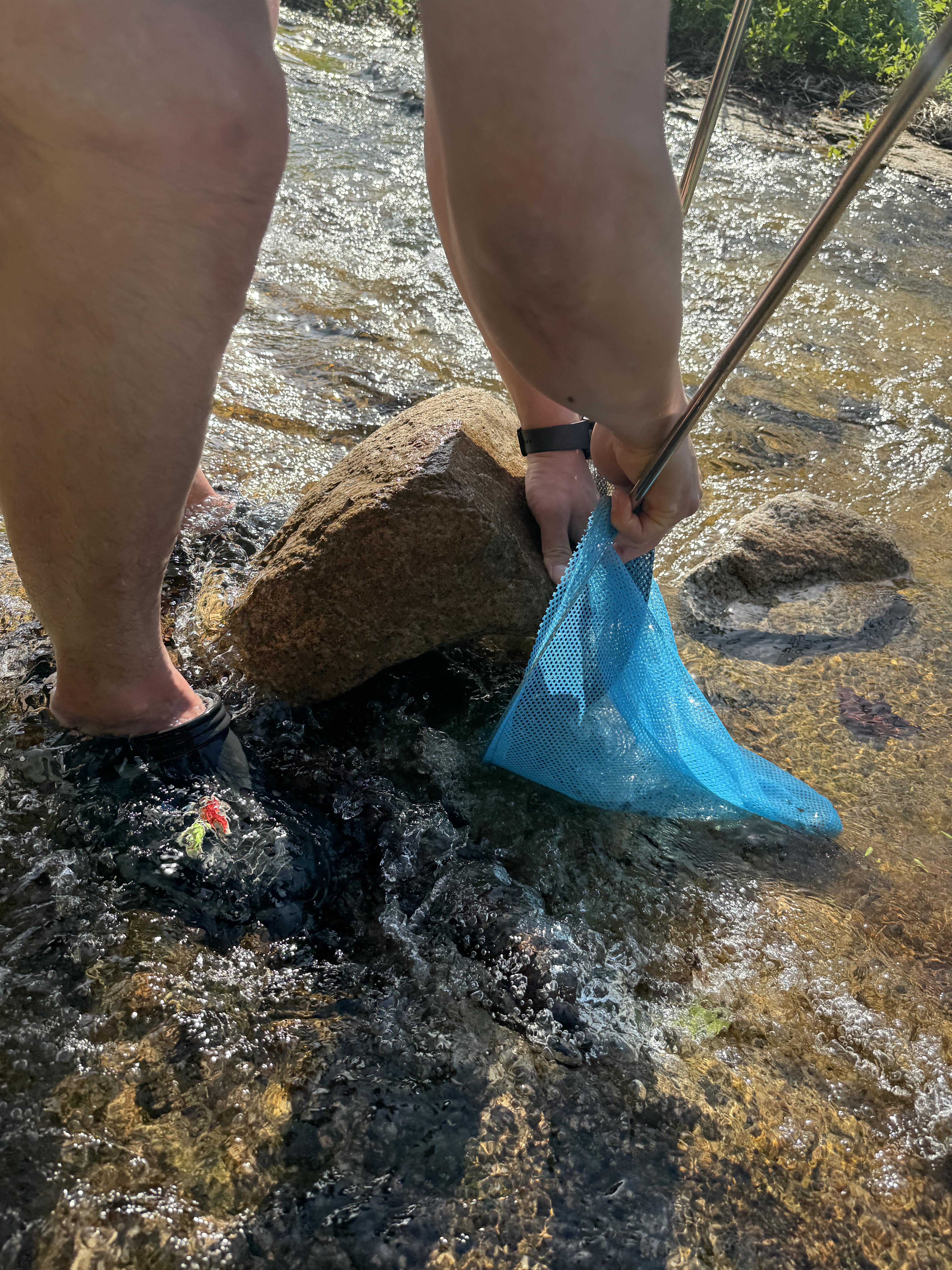 돌틈에-물고기를-잡는방법