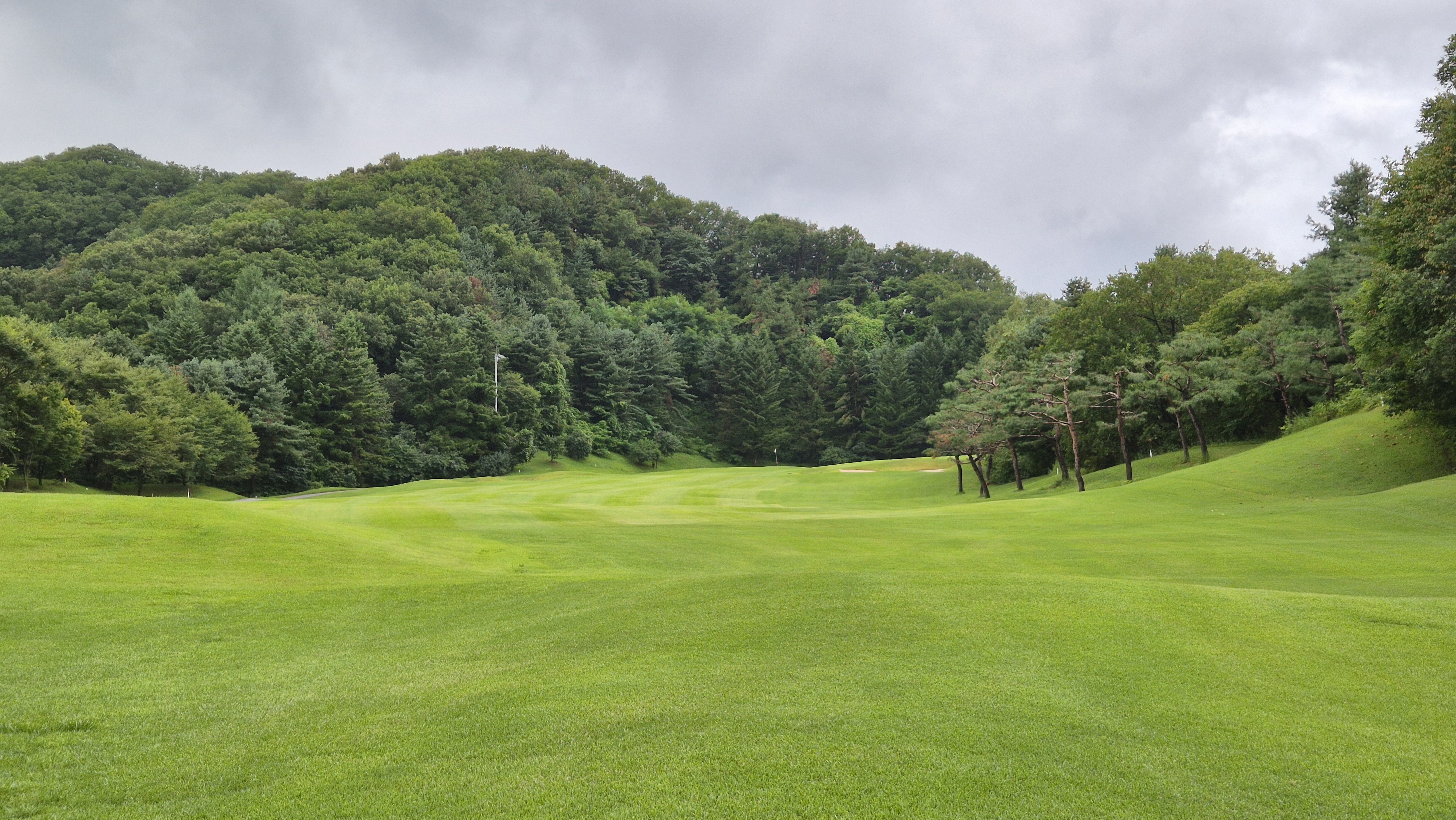 뉴서울cc 예술in-문화in 코스 사진 및 공략 정보
