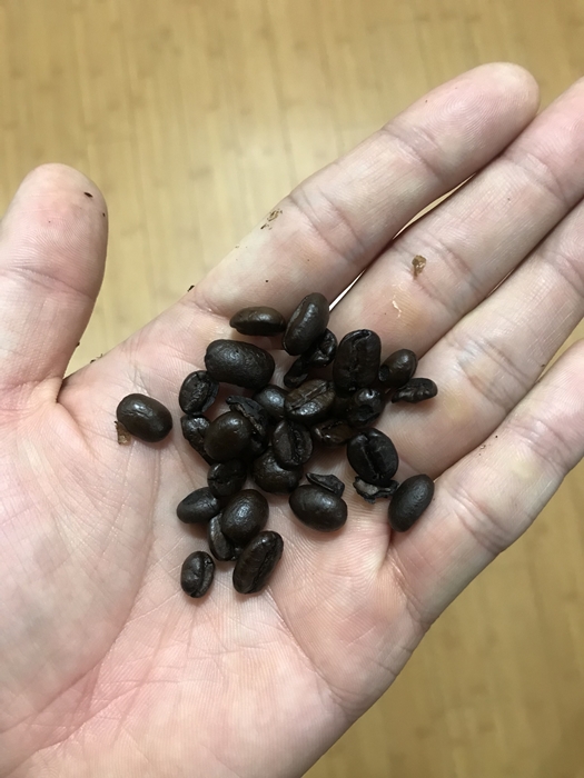 맥심 원두커피 원두