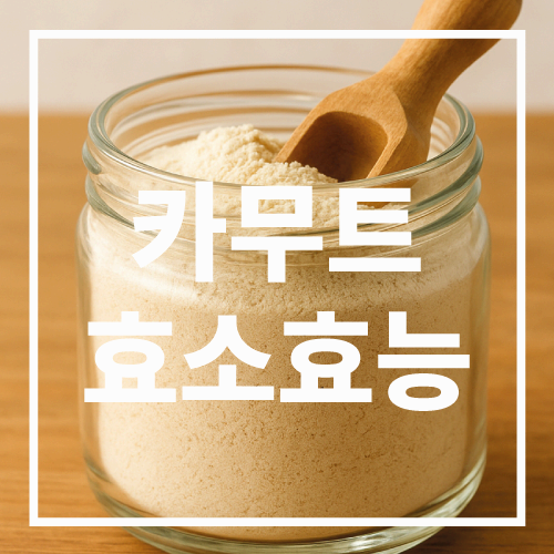 카무트 효소 효능