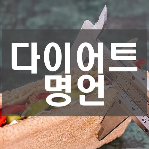다이어트 명언