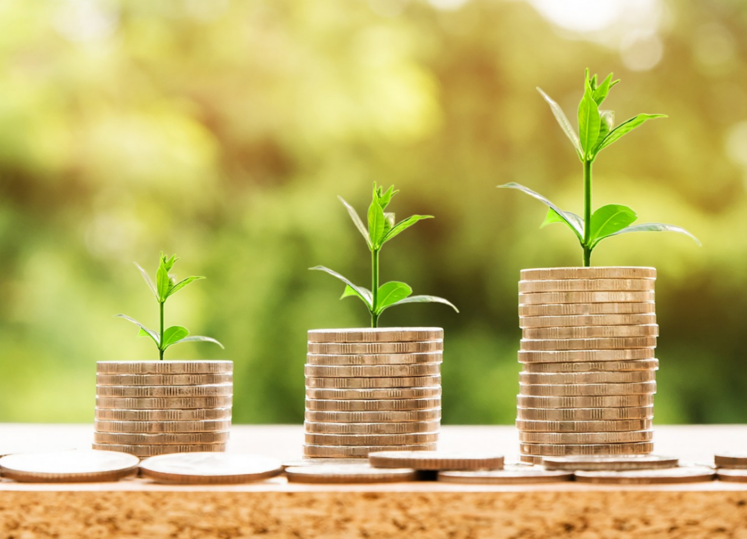 자연-배경앞에-동전으로-3개의-탑을-쌓았는데-그-동전-탑들에는-새싹이-자라고-있다.