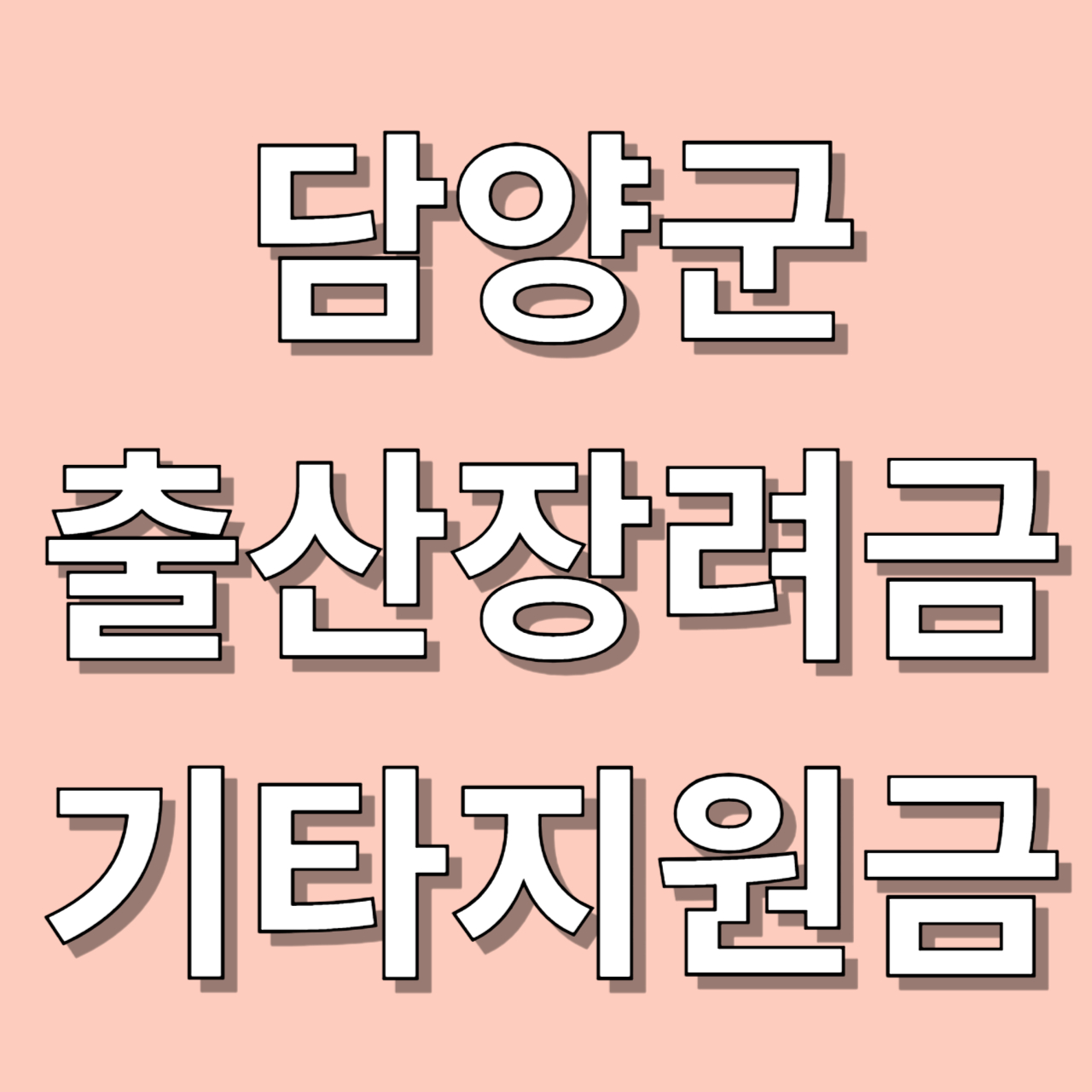 담양군 출산지원금